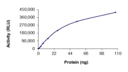 Sino Biological&nbsp;Recombinant Human EGFR Protein (T790M, L792H, C797S, L858R, GST Tag), Active